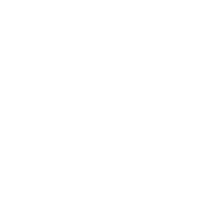 ����� ���������